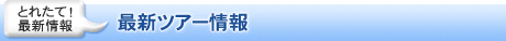 最新ツアー情報