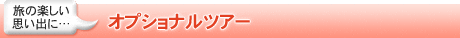 オプショナルツアー