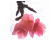 日本一早い沖縄の桜まつり 日本一早い沖縄の桜まつり