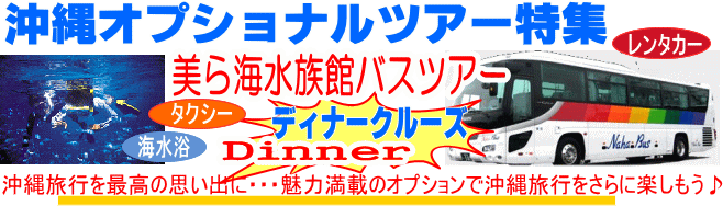 沖縄　オプショナルツアー特集。美ら海水族館、日帰りバスツアー、定期観光、格安レンタカーなど勢ぞろい！
