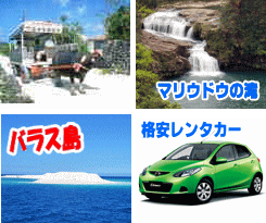 離島オプショナルツアー・西表島　水牛車体験・石垣島レンタカーなど多彩なメニュー