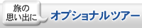 オプショナルツアー
