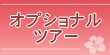 オプショナルツアー