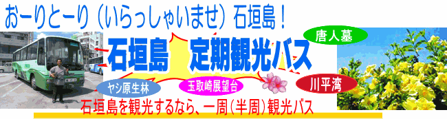 石垣島　定期観光バス