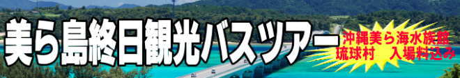 美ら島終日観光バス 美ら海水族館や古宇利大橋など見どころ満載のバスツアー