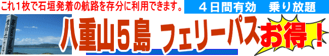 八重山　フェリーパス