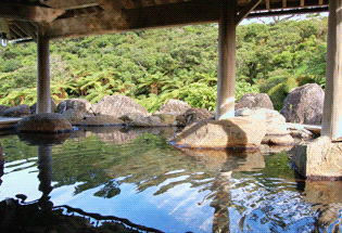 西表島温泉　イメージ