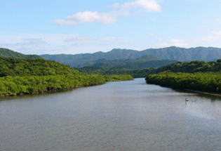 マイラ川