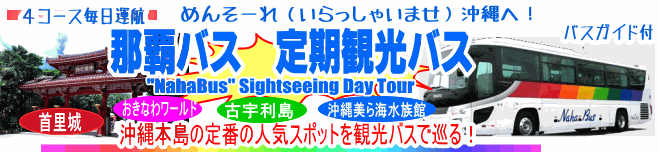 那覇バス 定期観光 沖縄旅行に最適なバスツアー 那覇バス 定期観光 沖縄旅行に最適なバスツアー