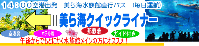 美ら海水族館 直行バス