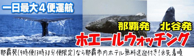 格安　ホエールウォッチング　ツアー