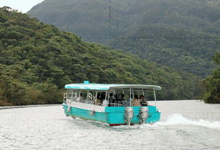 浦内川遊覧 提供 西表島観光センター
